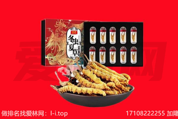 松北区虫草回收